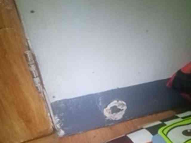 Smithsophie webcam
