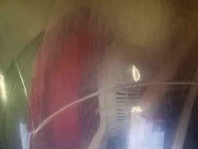 Smithsophie webcam