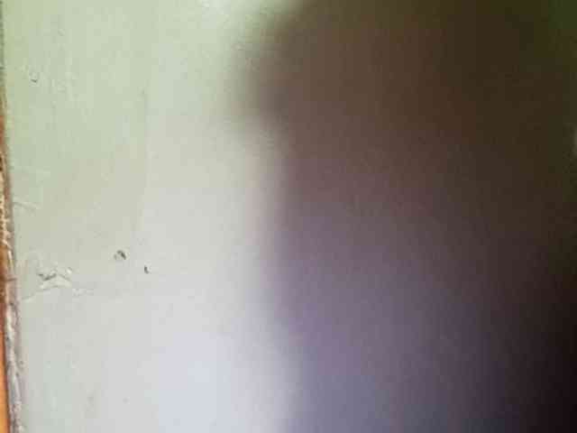Smithsophie webcam