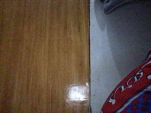Smithsophie webcam