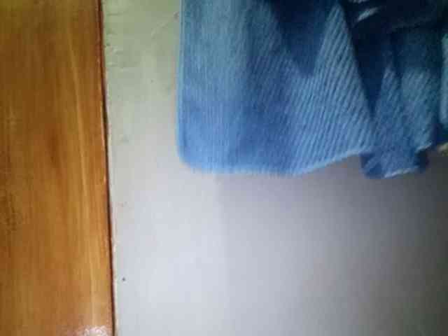 Smithsophie webcam