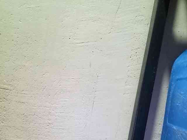 Smithsophie webcam