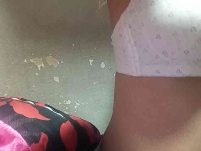 Smithsophie webcam