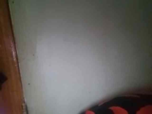 Smithsophie webcam