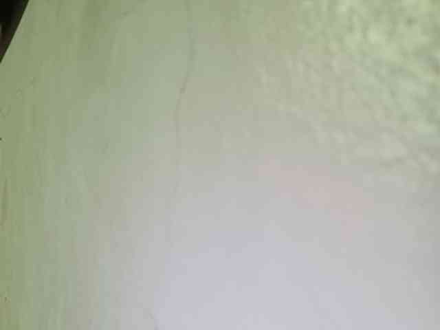 Smithsophie webcam