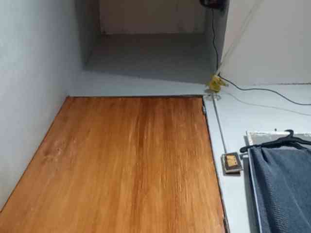 Smithsophie webcam