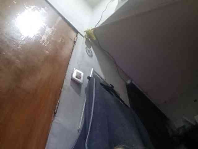 Smithsophie webcam
