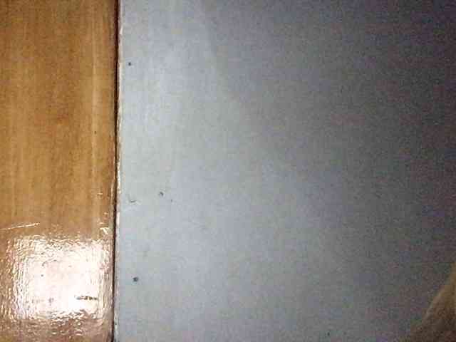 Smithsophie webcam