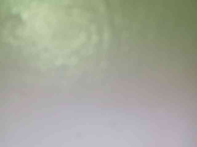 Smithsophie webcam