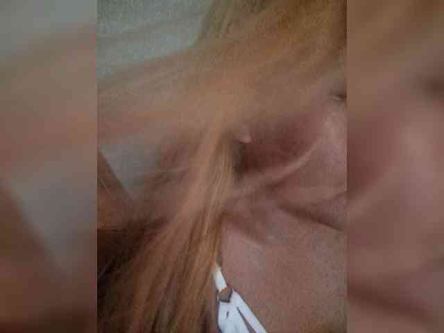 Smithsophie webcam