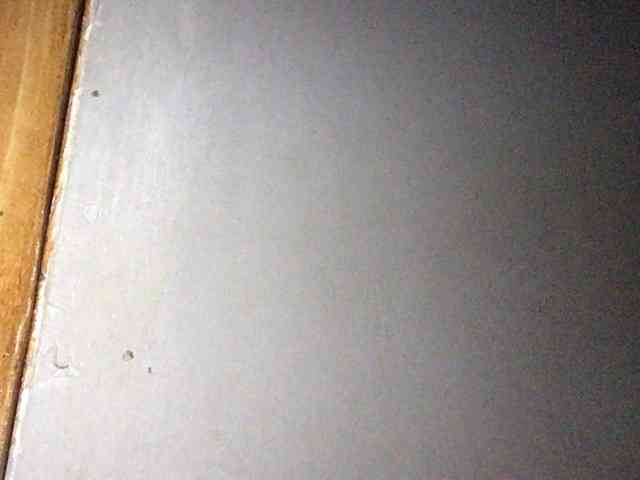 Smithsophie webcam