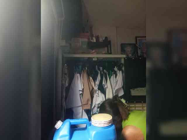 Smithsophie webcam