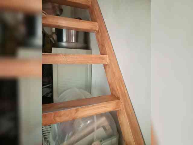 Smithsophie webcam
