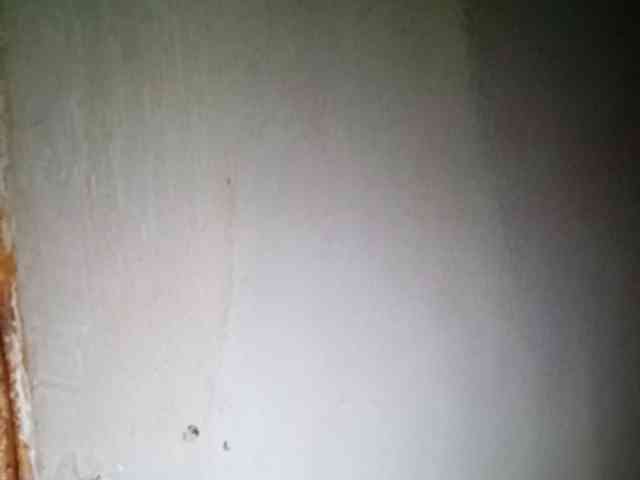 Smithsophie webcam