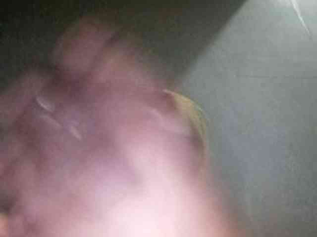 Smithsophie webcam