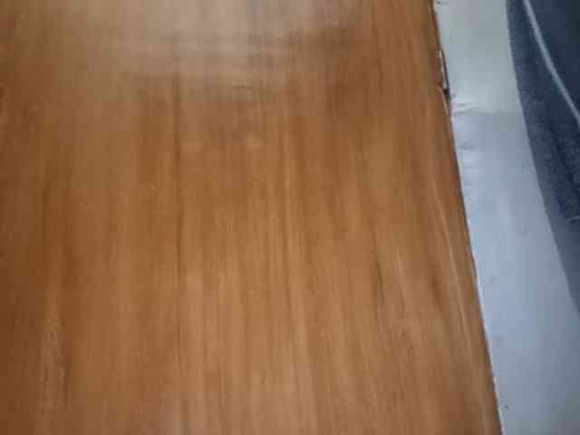 Smithsophie webcam