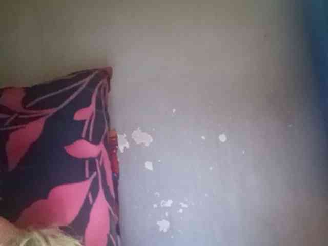 Smithsophie webcam