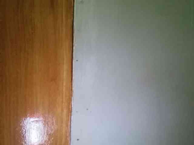 Smithsophie webcam