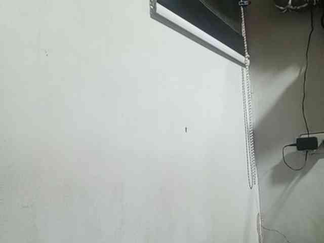 Smithsophie webcam