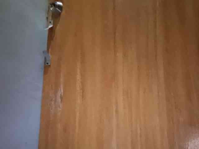 Smithsophie webcam