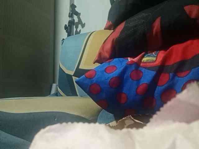 Pempemliciouss Pempemliciouss