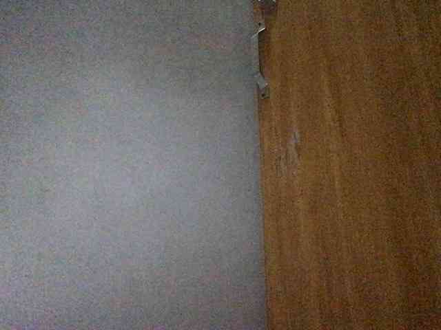 Smithsophie webcam