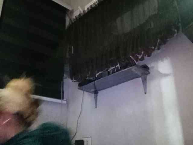 Smithsophie webcam