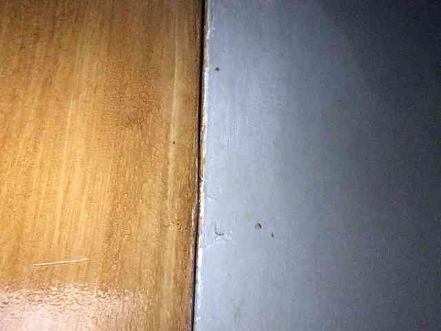 Smithsophie webcam