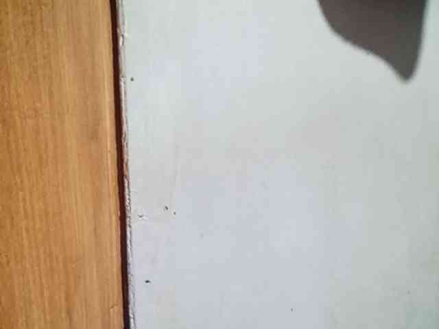 Smithsophie webcam