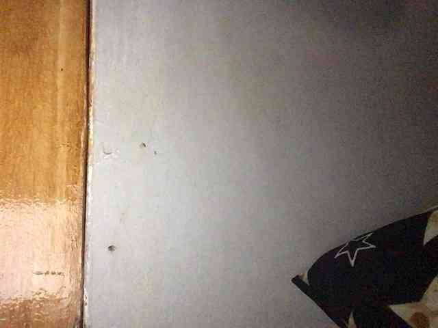 Smithsophie webcam