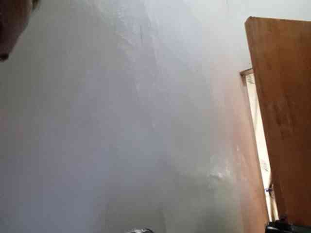 Smithsophie webcam