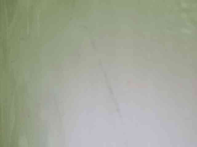 Smithsophie webcam