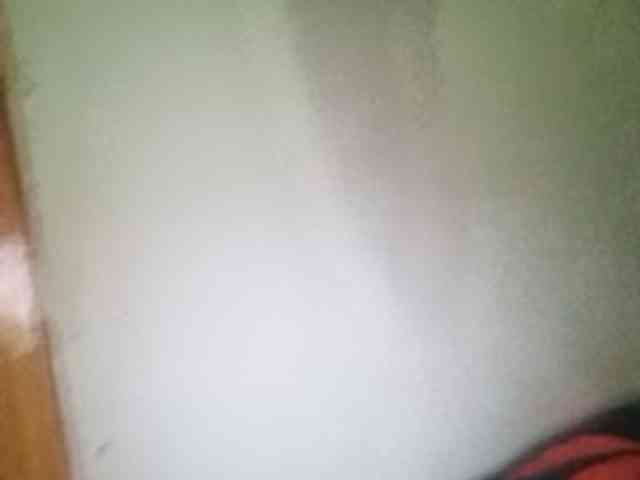 Smithsophie webcam