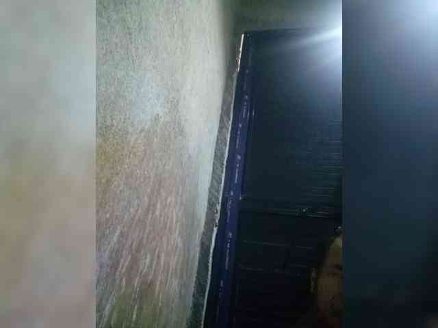 Smithsophie webcam