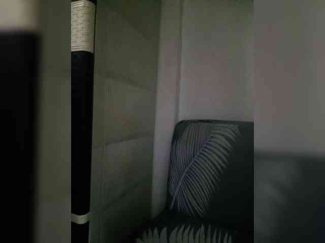 Smithsophie webcam