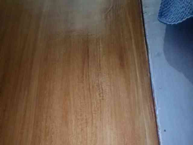 Smithsophie webcam