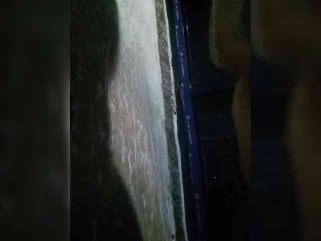 Smithsophie webcam