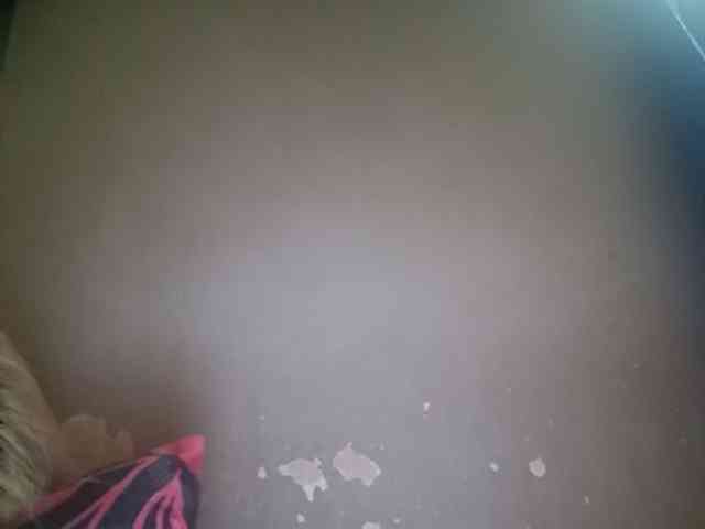 Smithsophie webcam