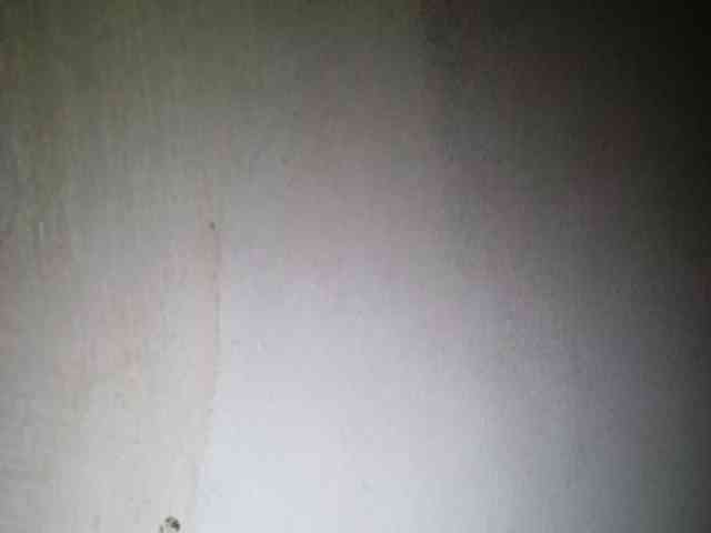 Smithsophie webcam