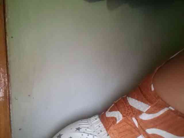 Pempemliciouss