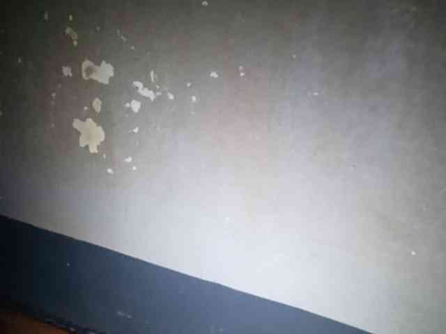 Smithsophie webcam