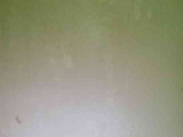 Smithsophie webcam
