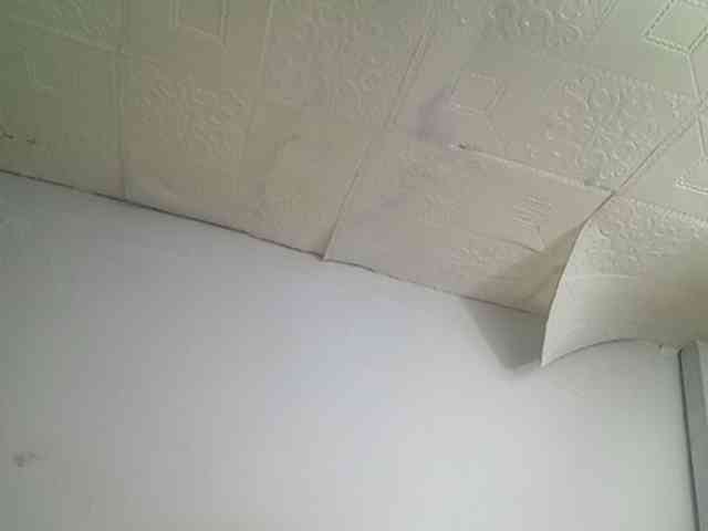 Smithsophie webcam