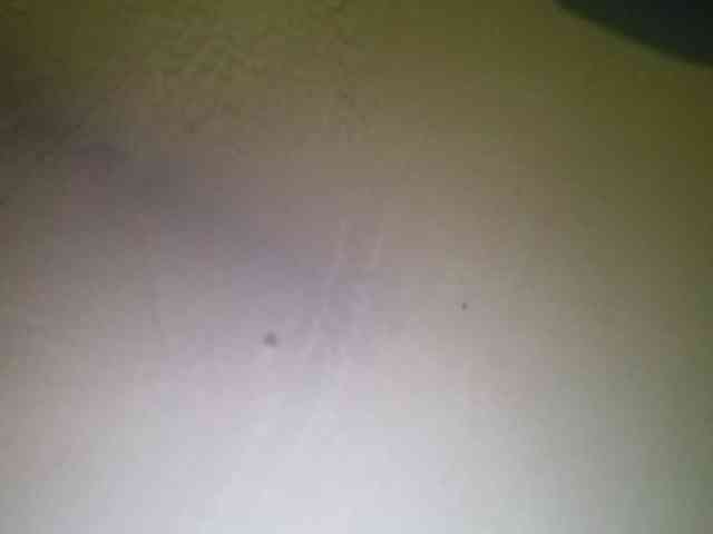 Smithsophie webcam