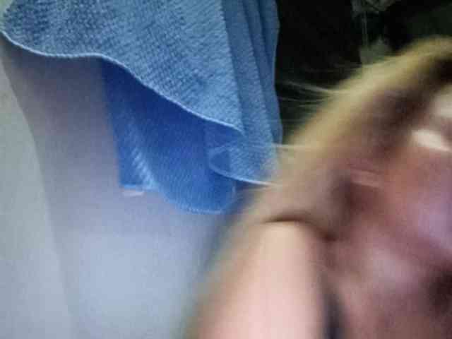 Smithsophie webcam