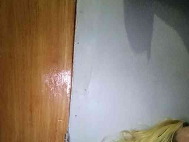 Smithsophie webcam
