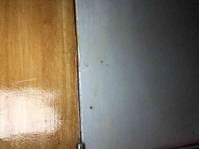 Smithsophie webcam