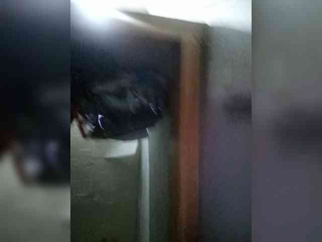 Smithsophie webcam