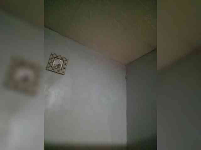 Smithsophie webcam
