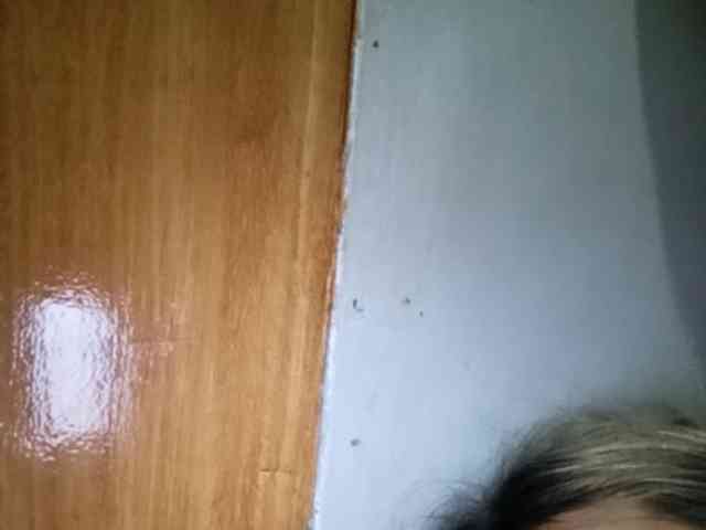 Pempemliciouss Pempemliciouss